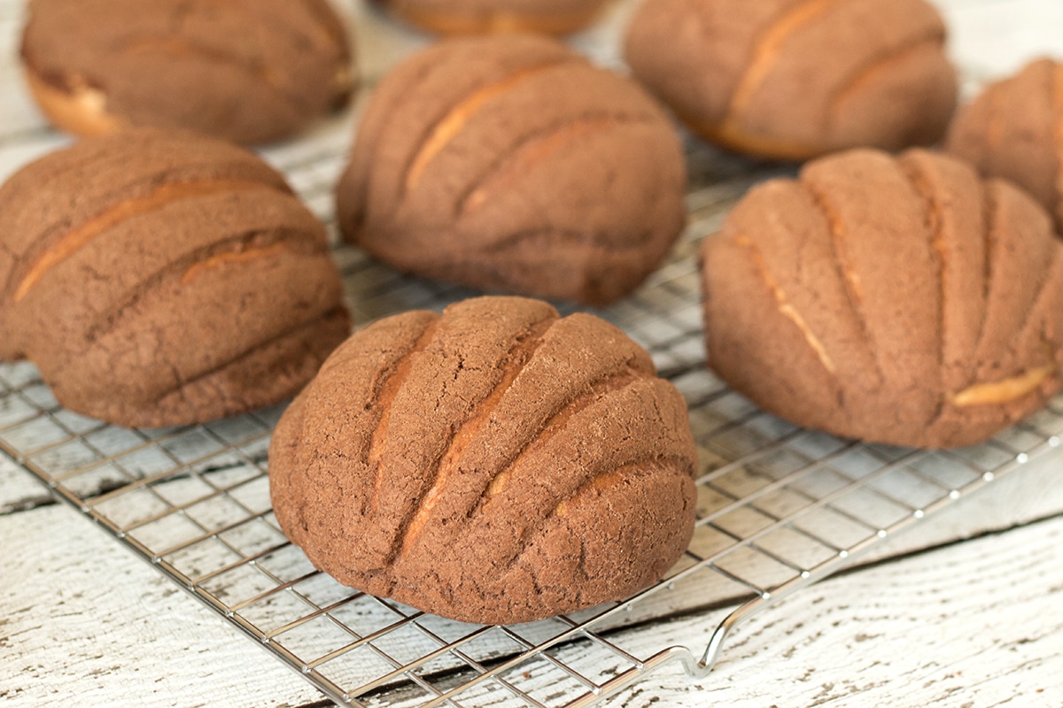 Mexican Sweet Bread has many varieties, but Conchas (Shells) is the most popular one. They are so good!