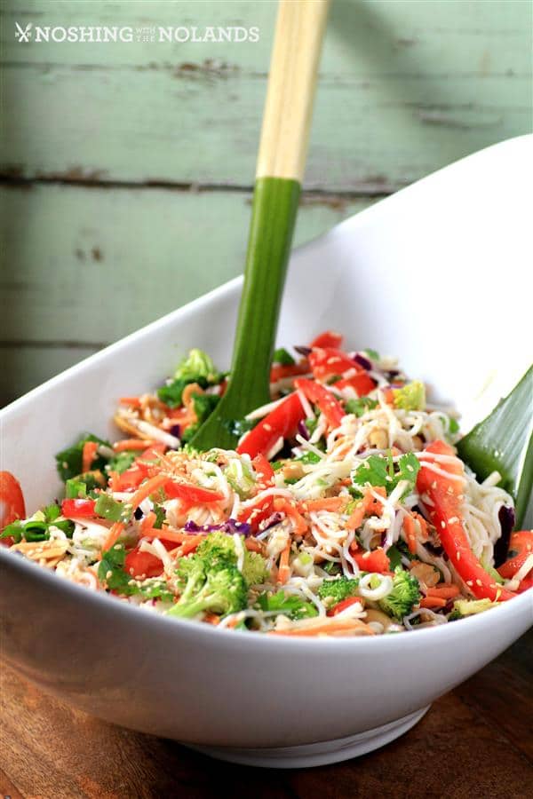 21 outstanding Shirataki Noodle Recipes to Enjoy This Zero-Calorie No-Carb Pasta from Japan! #glutenfree #paleo #keto #lowcarb | cookingtheglobe.com