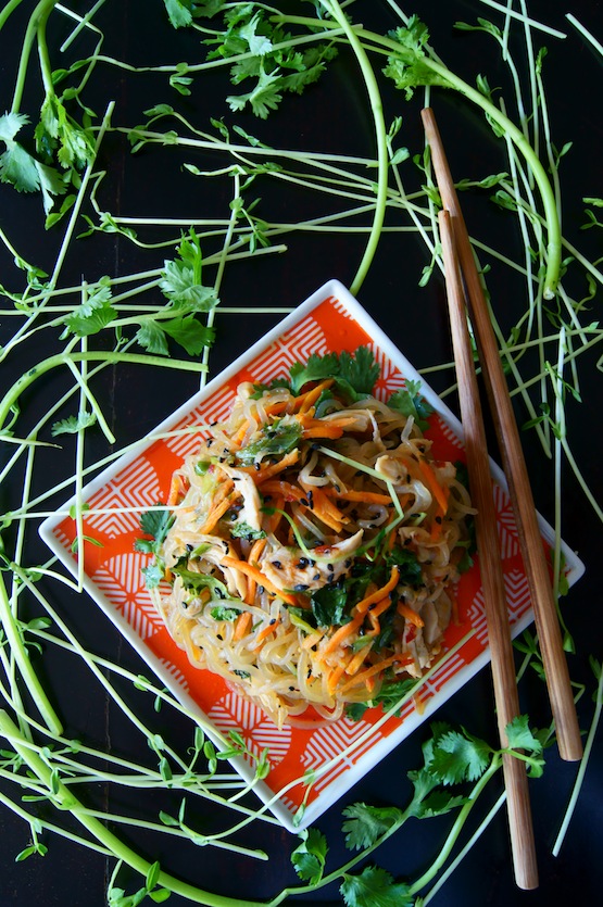 Shirataki/Konjac: Noodles with Zero Calories - SOSCuisine