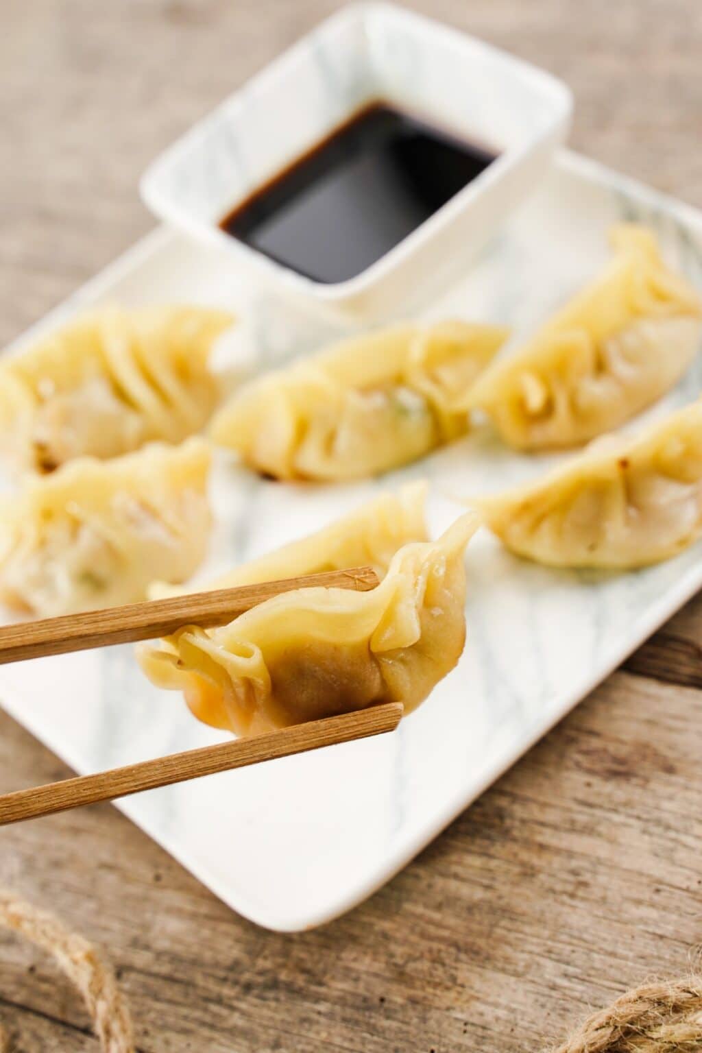 The Easiest Homemade Pork Dumplings Recipe Cooking The Globe