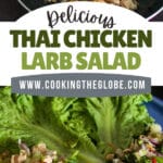 Thai Chicken Larb Salad PIN (1)