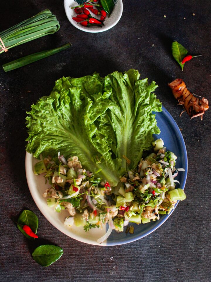 Easy Thai Chicken Larb Salad Recipe Cooking The Globe
